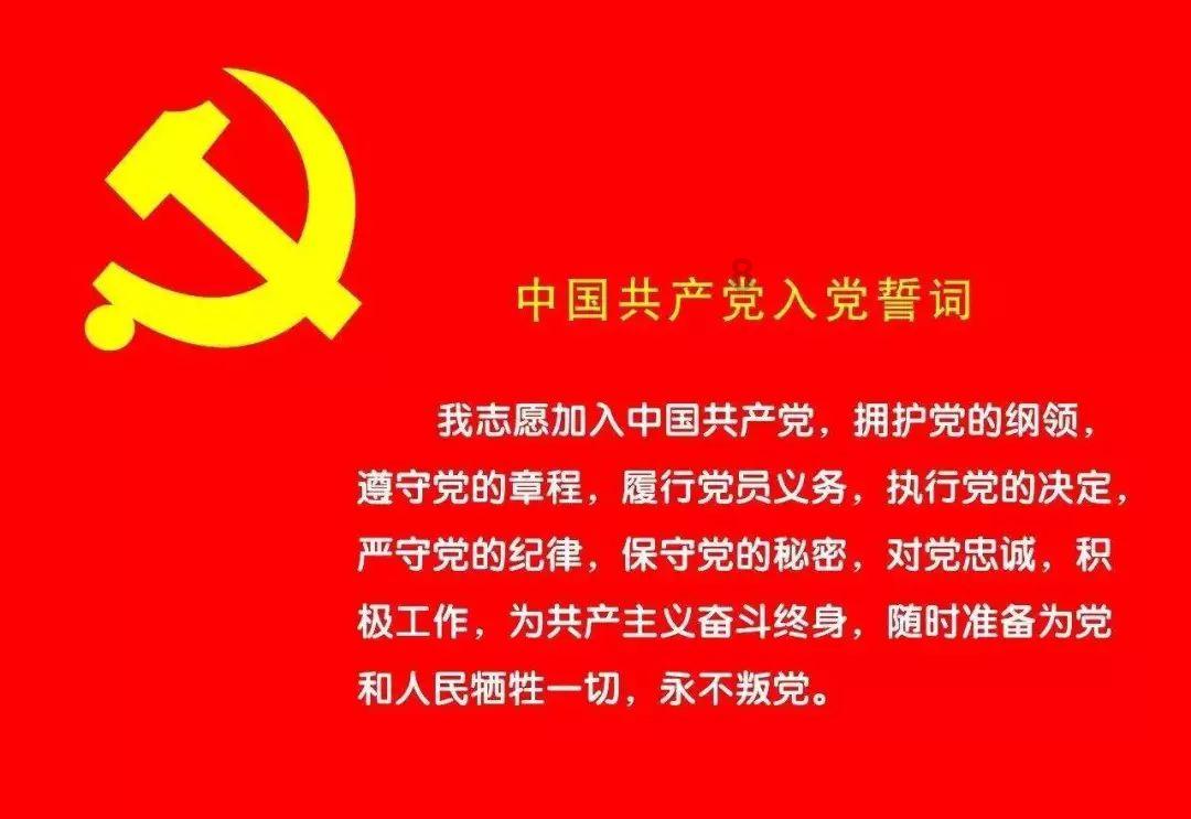 拿破仑：全面战争